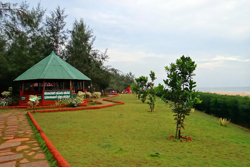 Kasarkod Eco Beach golden sandy shoreline and coastal casuarina landscape near Honnavar