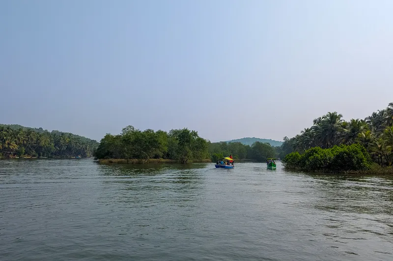 Honnavar Sharavathi backwaters with mangrove forest and boat on Badagani River